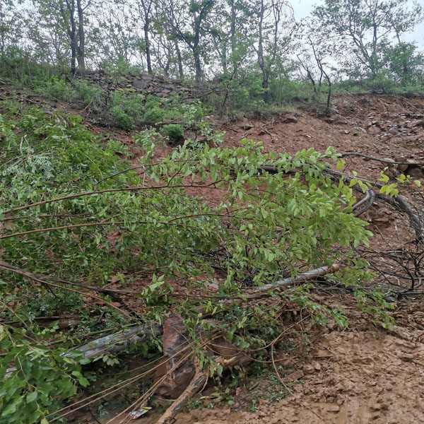 1626918460646896.jpg 555.jpg